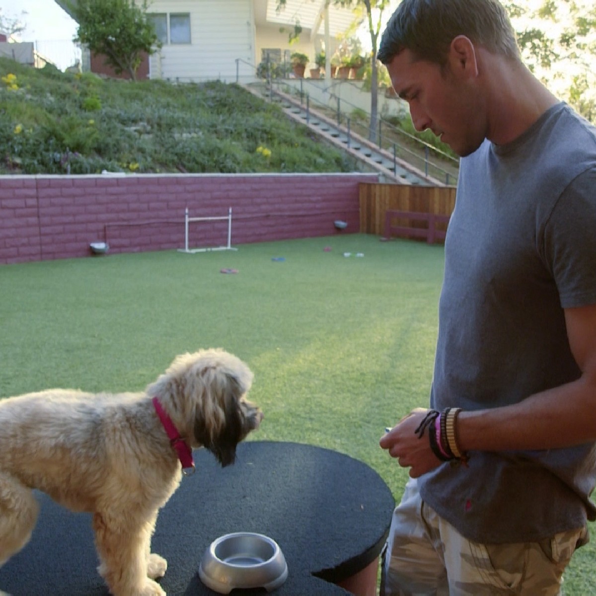 CBSLuckyDog tweet picture