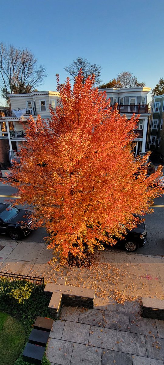 Namita Raina tweet media