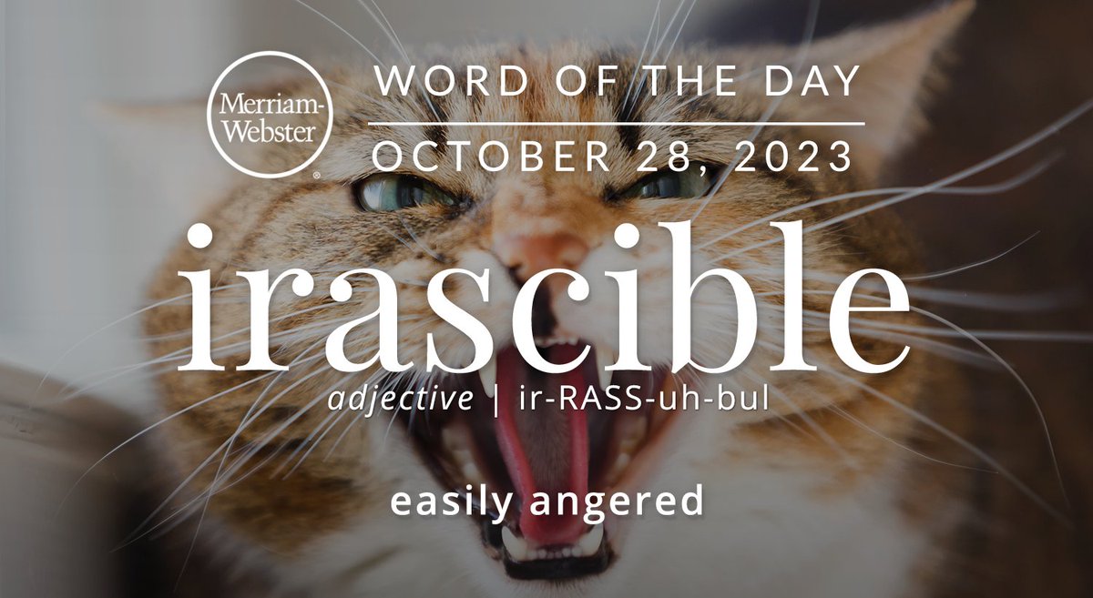 Merriam-Webster tweet media