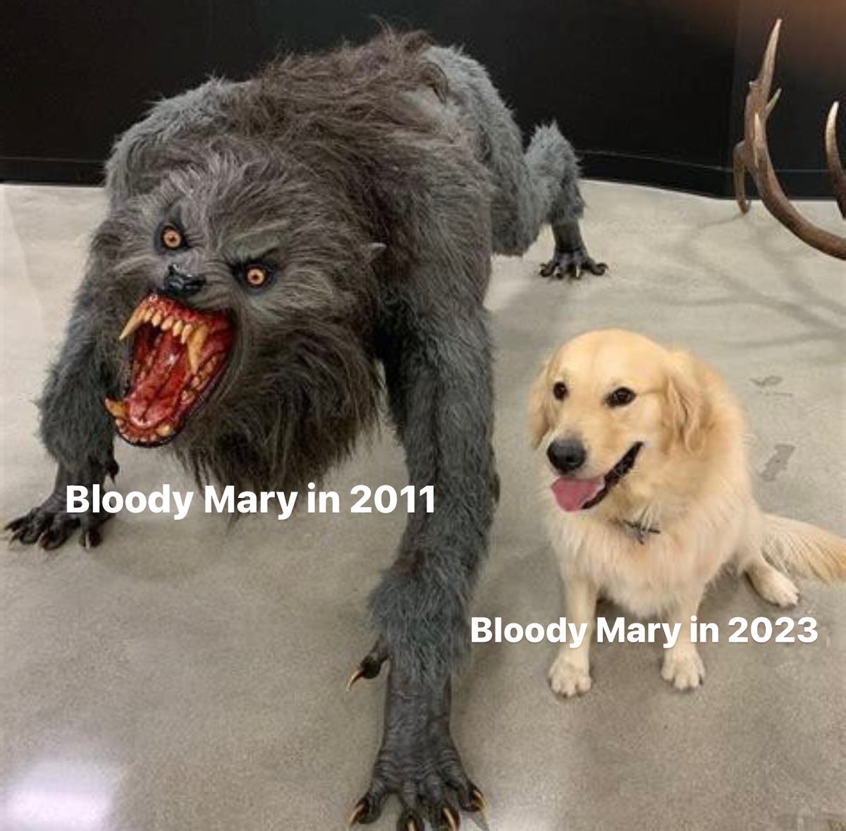 this is so scientifically accurate