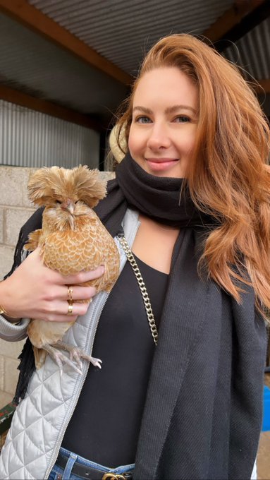 Have you ever seen a sassier chicken 😂💅🏻🐓 https://t.co/jNmSSqPOYp