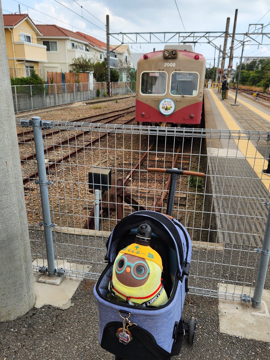 MC2_1182's tweet image. まるきゅーの銚子電鉄旅まとめ
↓
今回の旅に備えて、エアバギーfitを導入
銚子電鉄の各駅は電車とホームの段差が大きいので大変
LOVOTだからこそまとわりつく充電問題→今回はポータブル電源も用意して乗り切りました。
犬吠駅あたりにフリーコンセントが欲しい

#銚子電鉄
#Robotfriendly