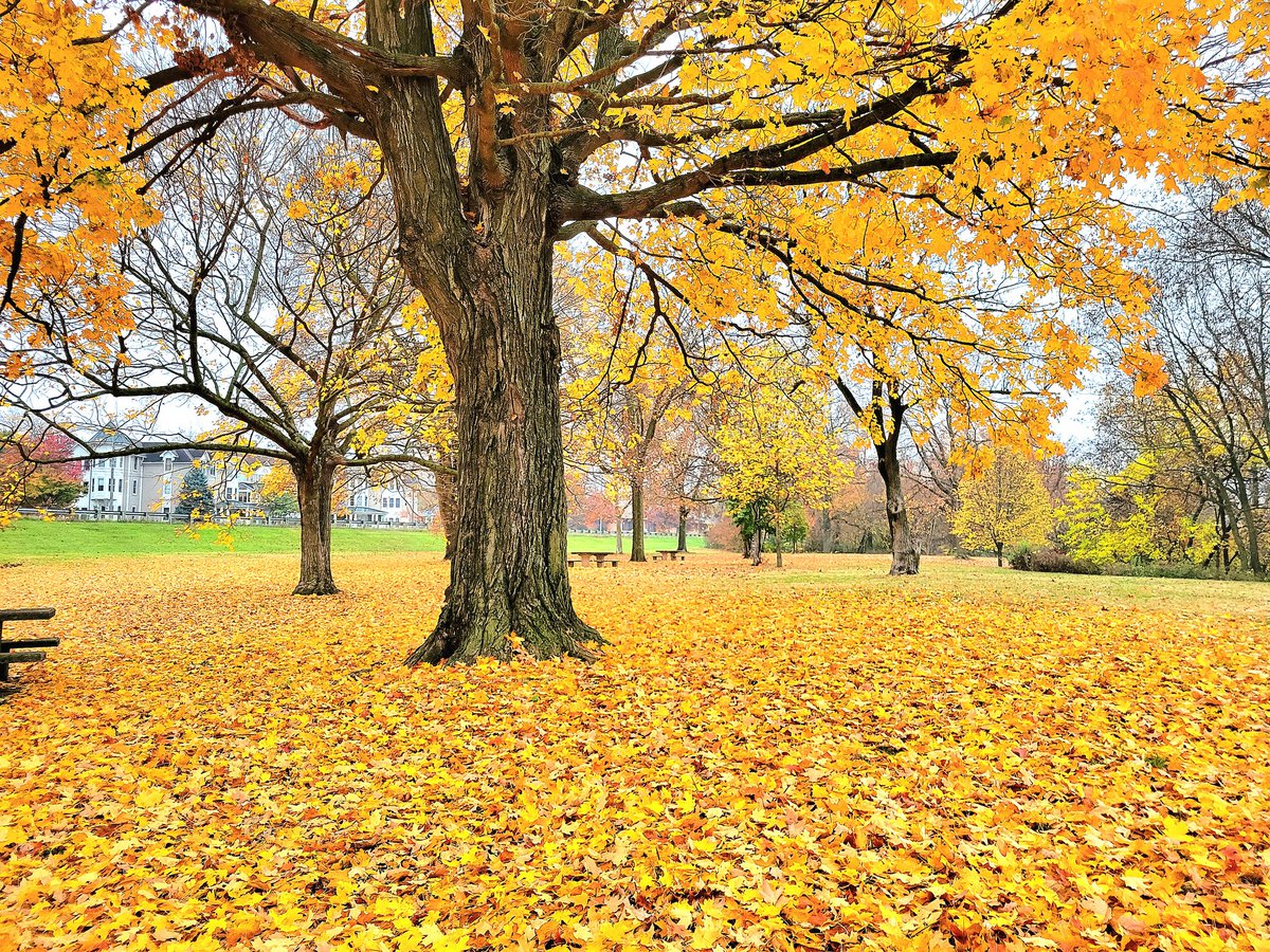 MikeGNow's tweet image. Good Morning Columbus

#ohio #columbusohio #cbus #asseenincolumbus #cleveland #cincinnati #ohiostate #lifeincbus #dayton #akron #onlyincbus #living #columbusoh #lifeincolumbus #osu #buckeyes