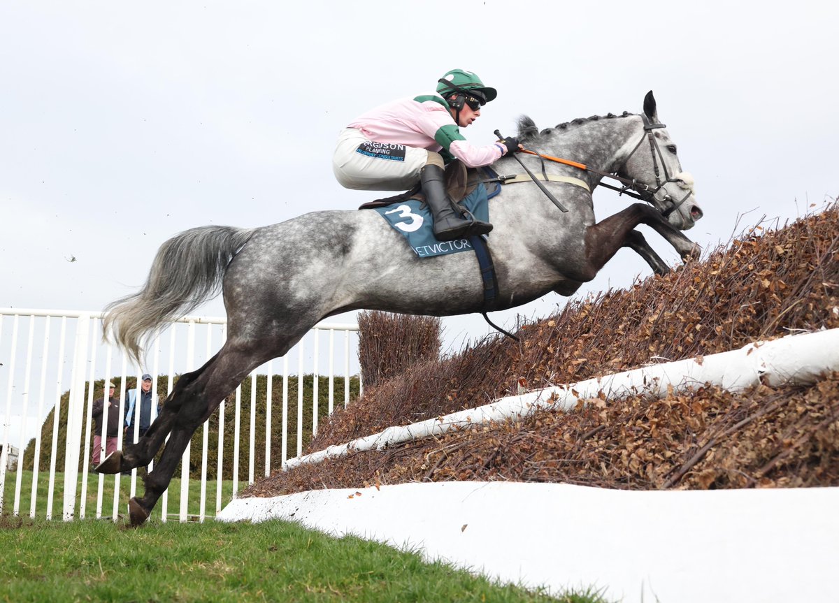 🏆 Elvis Mail wins the Edinburgh Gin Chase. Corach Rambler finishes last.