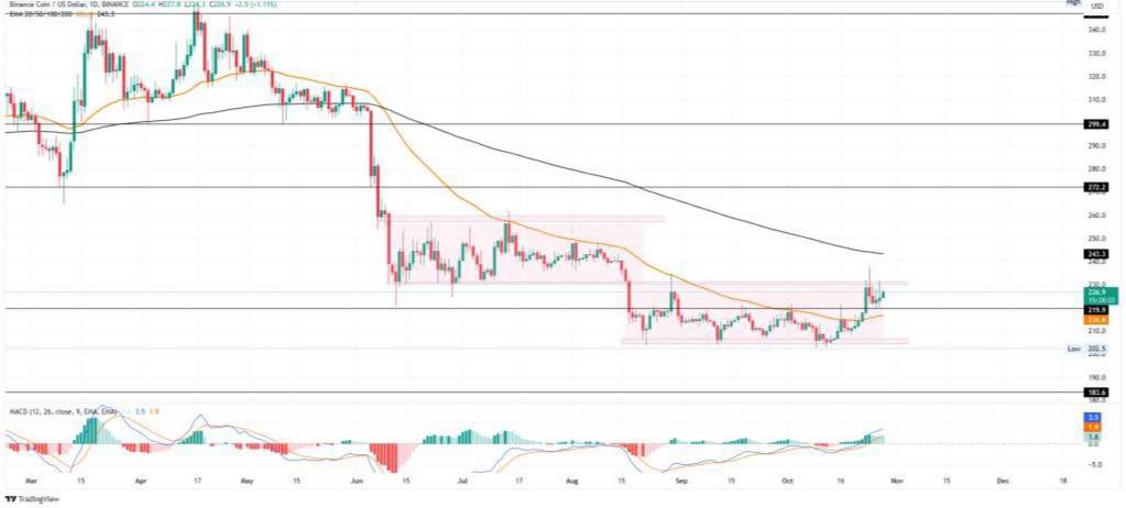 CryptoCat GEMs 📈🚀 tweet media