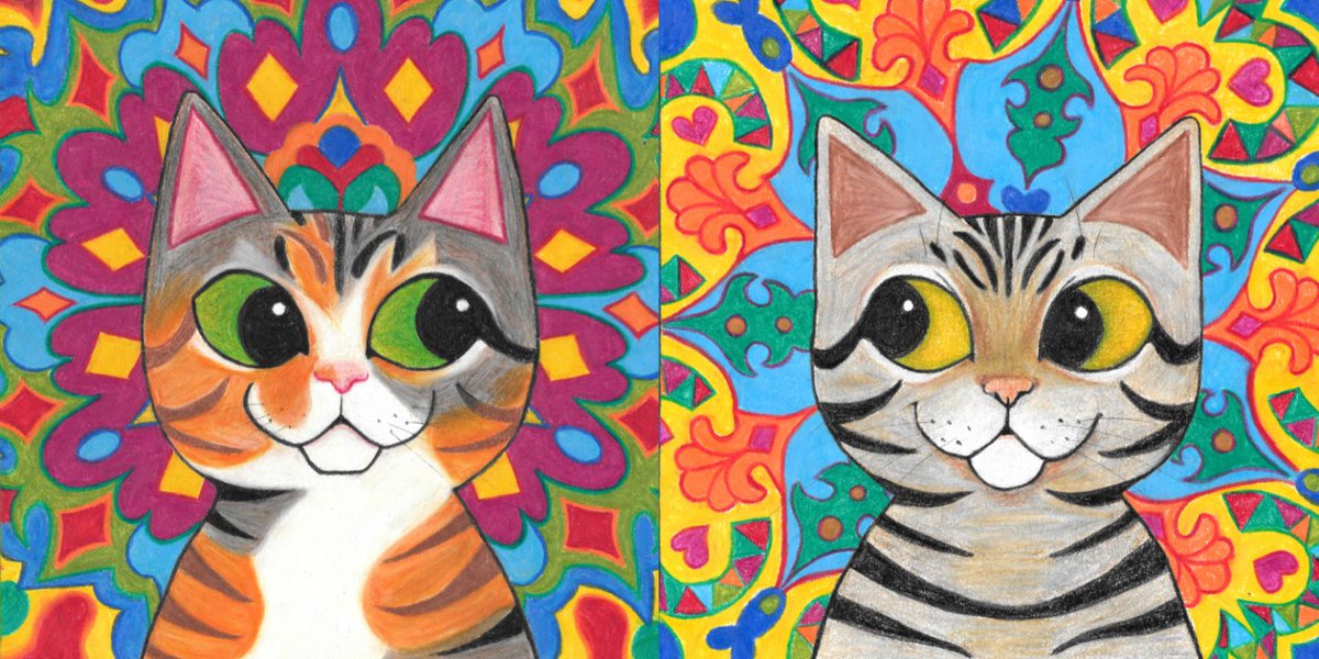 🌼 🐱 🌼 tweet media