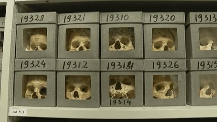 erm france literally had a museum with the SKULLS of the algerians they k!lled when they colonized algeria out for display as TROPHIES........