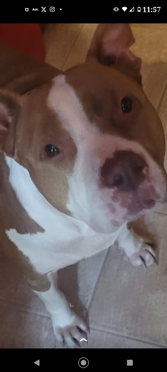 Kay Jablonka 🇺🇲🦅 tweet media