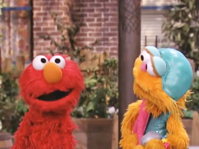 Zoe And Rocco Sesame Street