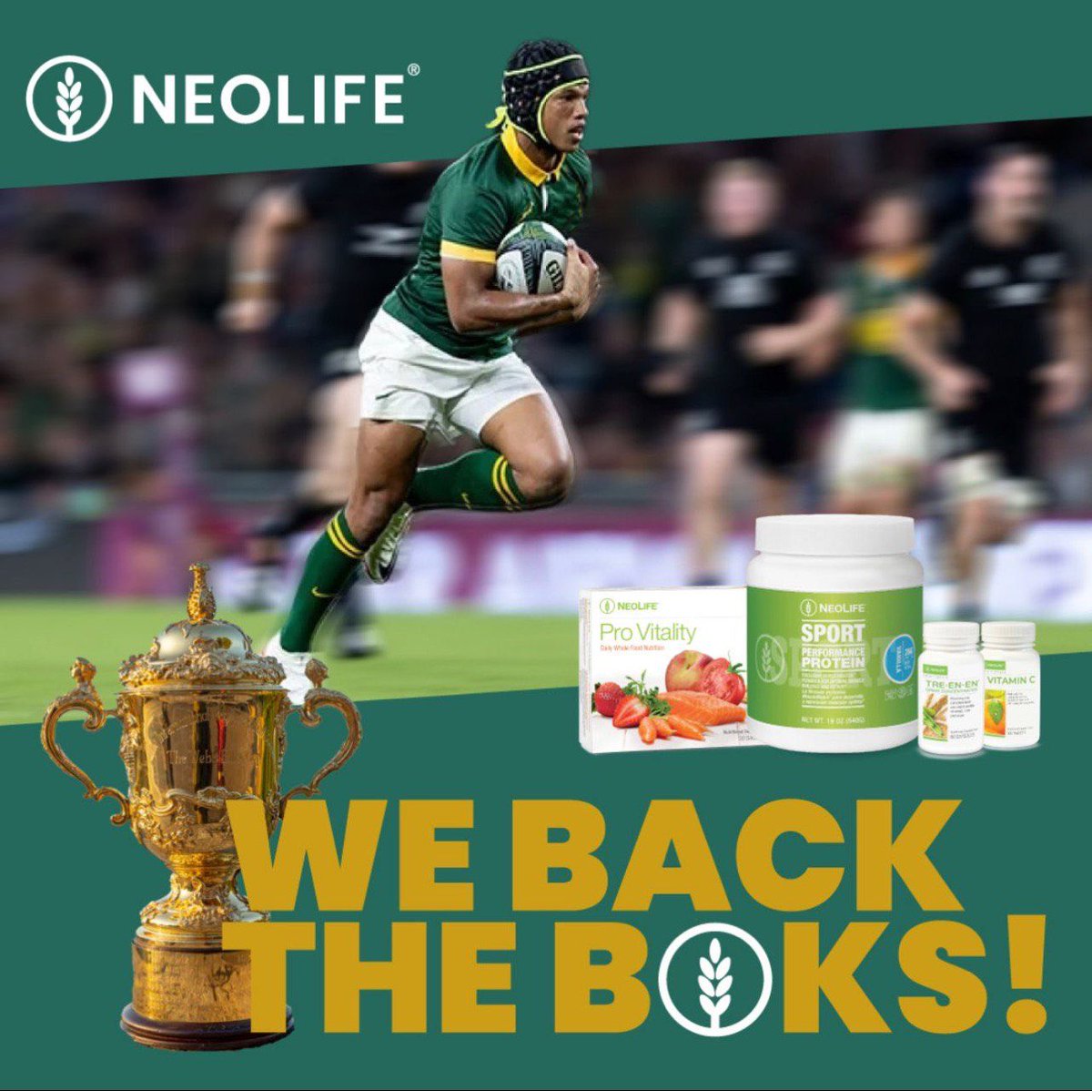 GhtMark's tweet photo. All the best to the men in green and gold. #rugby #rwc #RWC2023 #Springboks https://t.co/Fwm5hRrFab