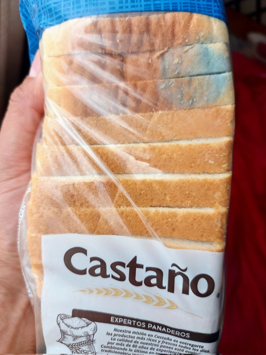 janocid1's tweet photo. @Castano_Chile nueva% comprado en @LIDERcl a una semana de vencer se llena de #hongos, hago público x no tener boleta y es 3a vez q' nos pasa; harán algo al respecto? https://t.co/64Z1oywRbI
