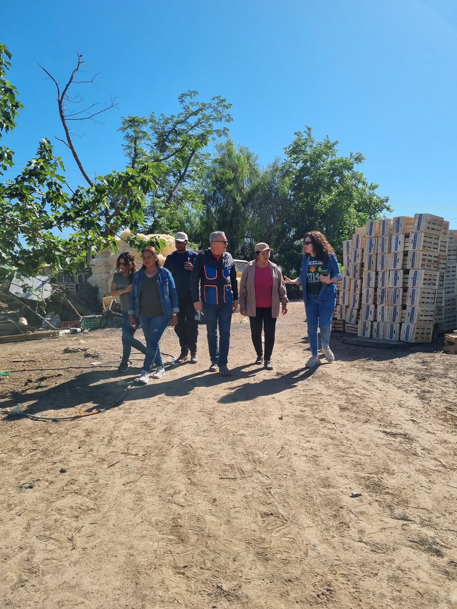terelunalarioja's tweet photo. Hoy visitamos la finca de una gran familia productora de la zona rural de la Capital. En plena cosecha atrapados por la especulación de quienes no quieren un país con crecimiento y desarrollo de la producción. Gracias familia Tapia por el tesón y amor por la tierra! https://t.co/2lJ3I5fxQ5