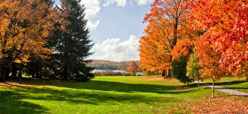 GoodAirGeeks's tweet photo. Take a look at our breakdown of Fall vs. Autumn as we look at the main differences and when to use each term. 
.
#Autumn #Environment #Fall #Temperature #Weather

https://t.co/0zpnzF9r1I https://t.co/j4YnaOQwOl
