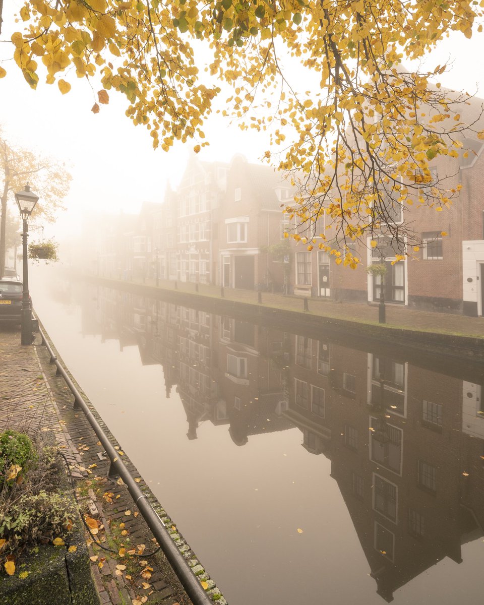 Herfstkleuren in mistig Alkmaar