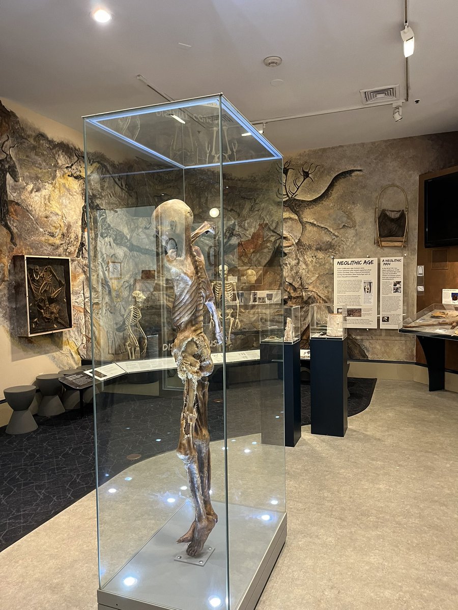 KristenMConklin's tweet image. Exciting day learning with the team at @CSHL extracting DNA from unknown species of insects! 
#dnaextraction #BLI #explorermindset #scienceresearch