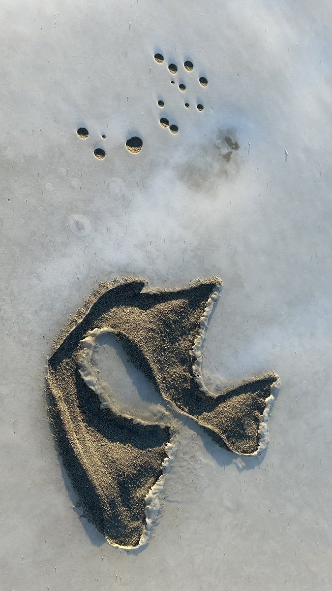 Seeing tropical fish while walking along the frozen riverbank.  Can’t quite figure out the species though.  Any suggestions?  #fish #ice #art