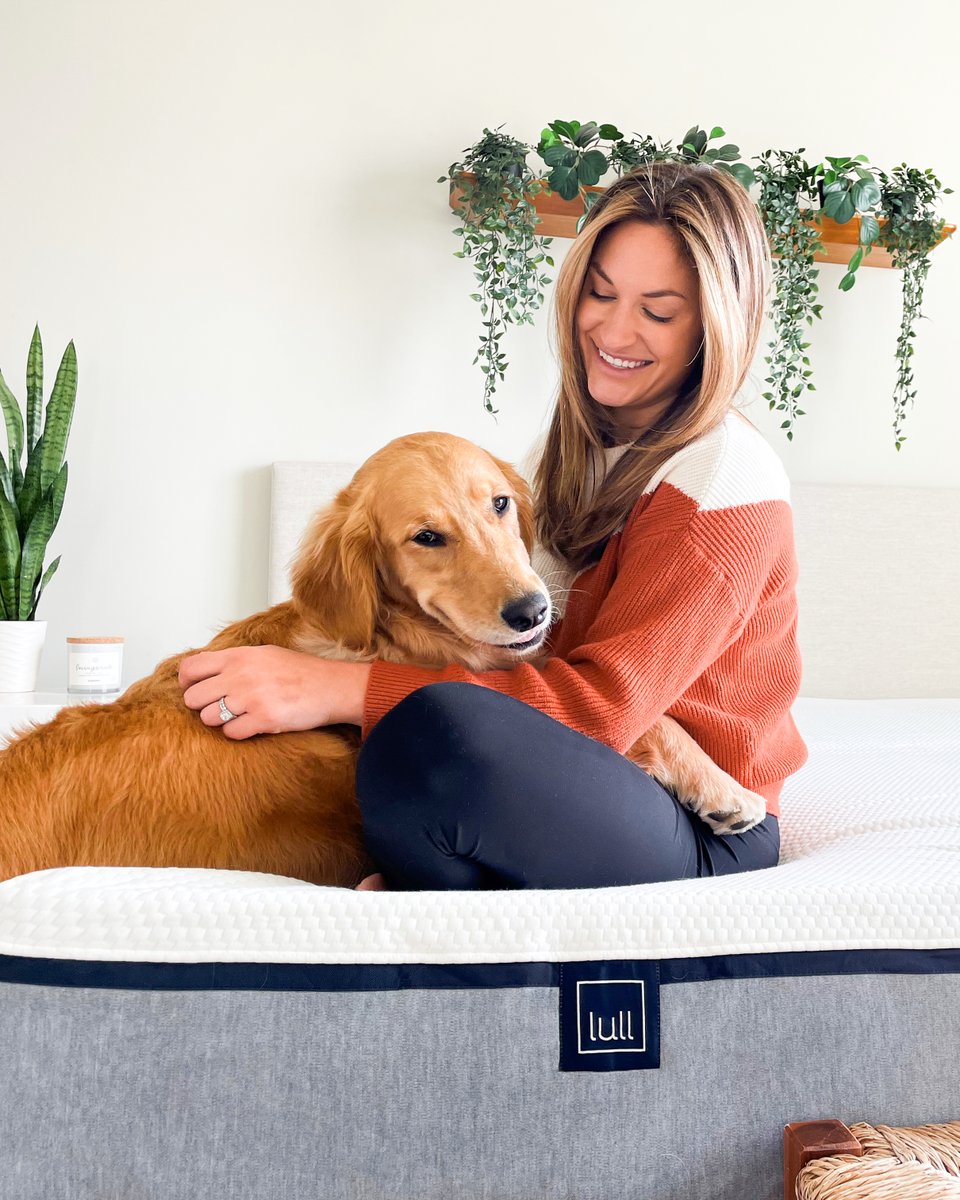 Pawsitively in love with my Lull bed! 🐾❤️ Not only does it offer the comfiest spot for me to snooze, but it's also my go-to spot for chasing those doggie dreams. Who said humans have all the fun? 

#lullmattress #getyourlullon #petsbringustogether #petsrule