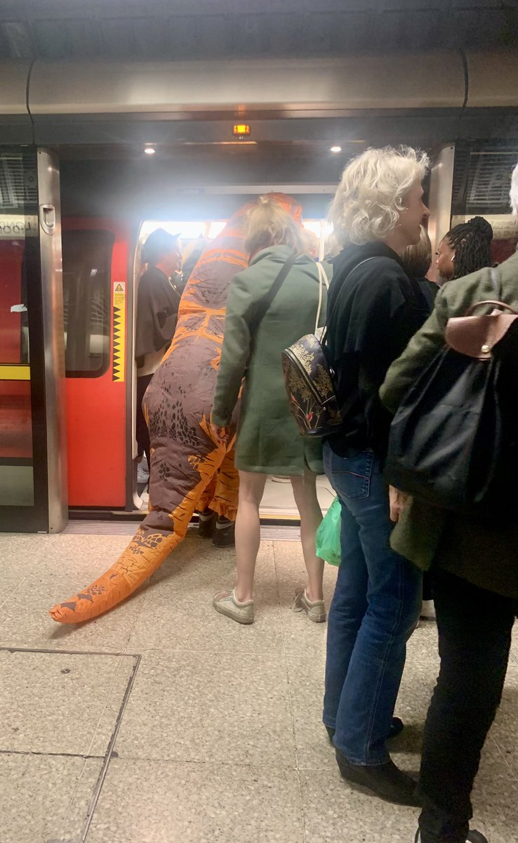 Susan Harrison tweet media