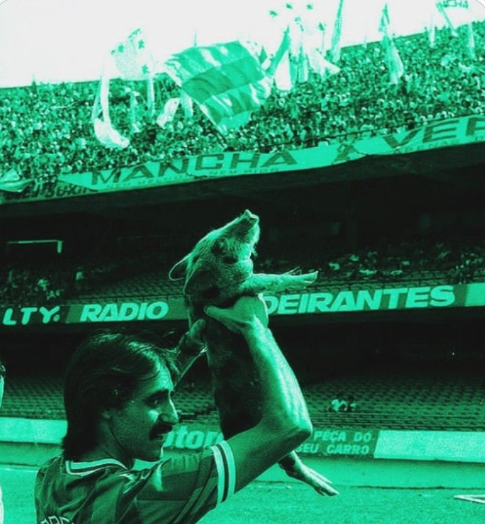 umbertocontiho3's tweet photo. Palmeiras em cenas...

1986, o ano do porco.

Que sacada inteligente (Gobbato e torcida)...!

Uma ofensa super agressiva....virou um símbolo! https://t.co/kjlhRiIH9L