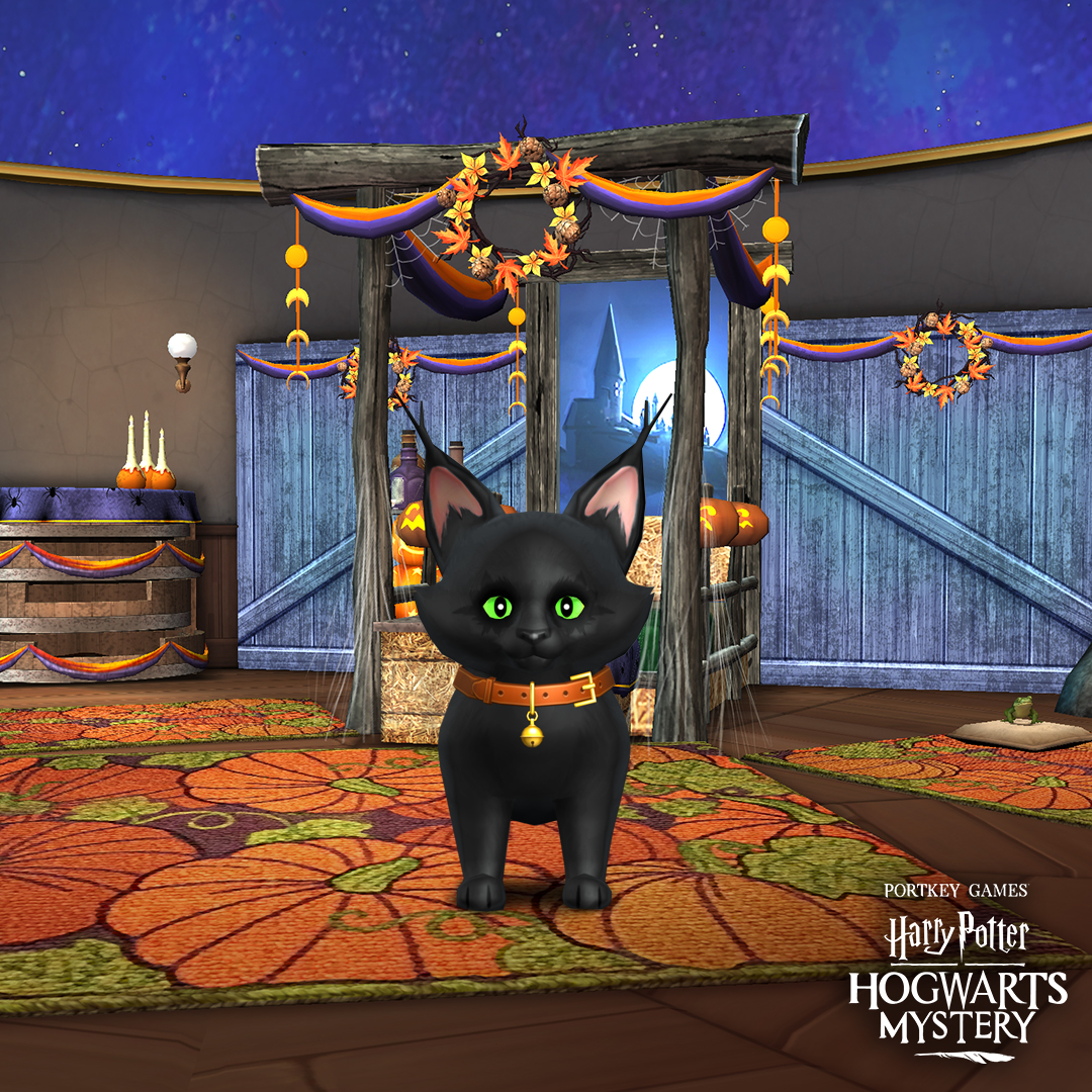 Harry Potter: Hogwarts Mystery - Happy #Caturday! 🐈 Which of these cuties  would you most like to cuddle up with?