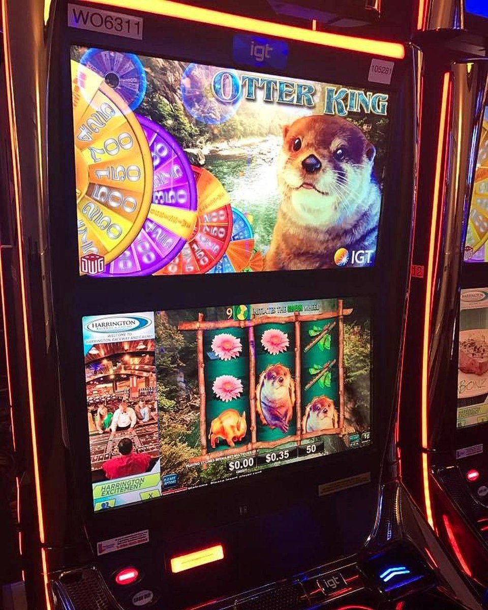 In_Otter_News2's tweet photo. Great. Now I have a gambling problem. https://t.co/Gu6g5EqnKs