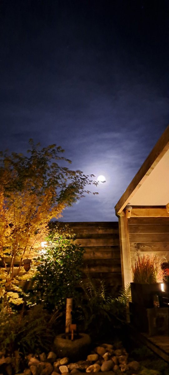 OneFallenAngelM's tweet photo. #FullMoon #MoonGazing #Trataka (steady gazing) #meditation 🙏🏻🔆😇💚🎈 https://t.co/huYJ2sc5eX