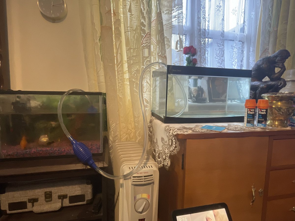 TjoLoLo7's tweet photo. I’m going to finish my fish tanks 
The water has settled down now in the new Tank
I will sought the other one in a bit 

#KeepingFish https://t.co/S7DEGPPcCR