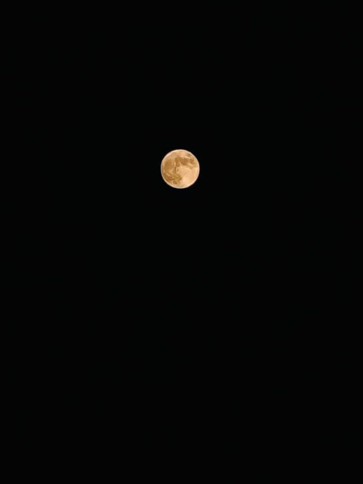 FeelingsForher's tweet photo. #HuntersMoon https://t.co/zpYfcA0fOC