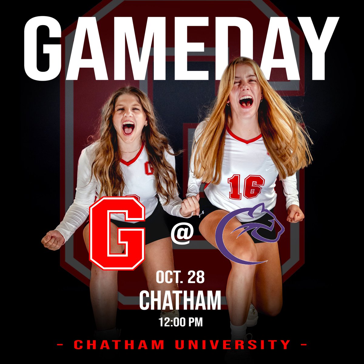 It’s GAMEDAY! We travel to Chatham this afternoon for another PAC matchup! We would love you see you there! #wolverinestogether #1percentmore #ellasquared