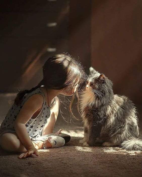 Helen Sol tweet media