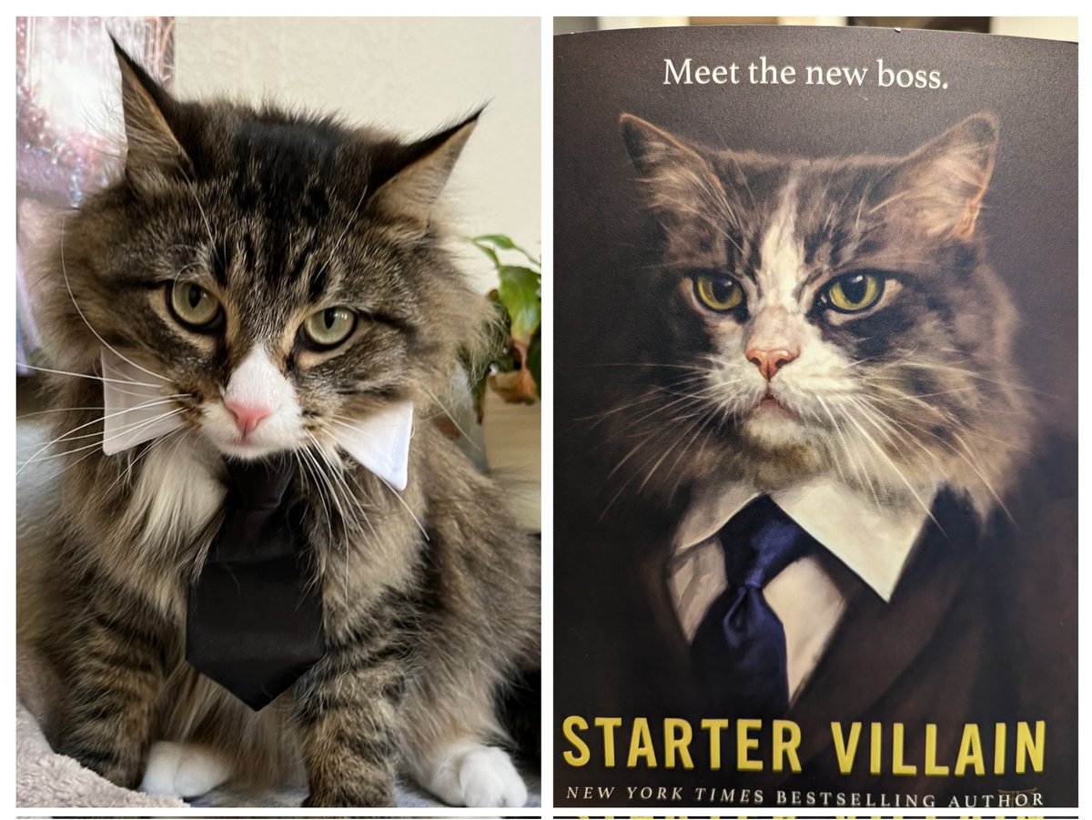 Althris's tweet photo. @scalzi We're enjoying the new book 😁 https://t.co/iYDmI0qbVm