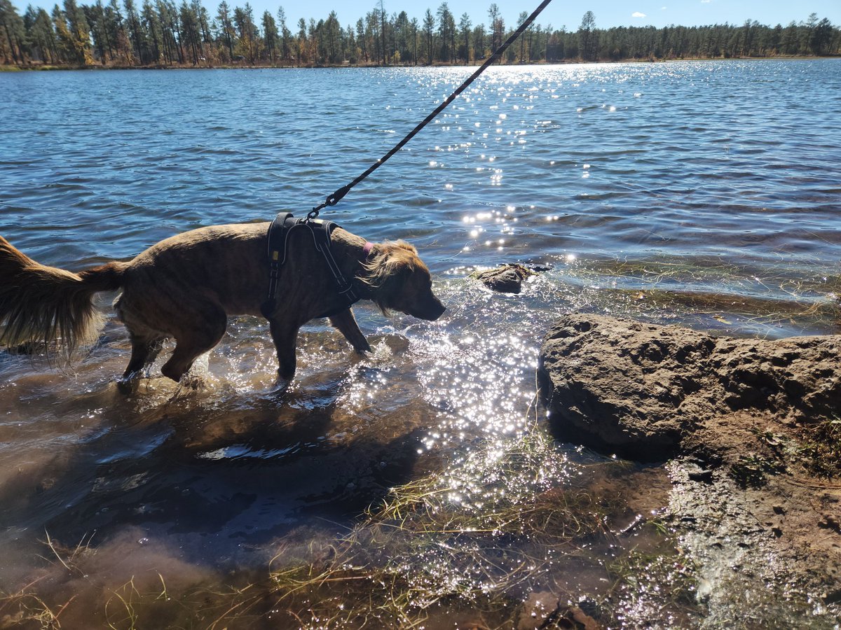 Wedding venue and Nott at the lake.