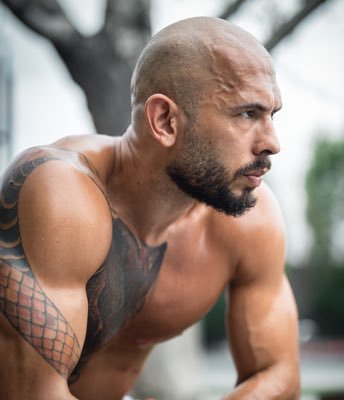 Tate News tweet media