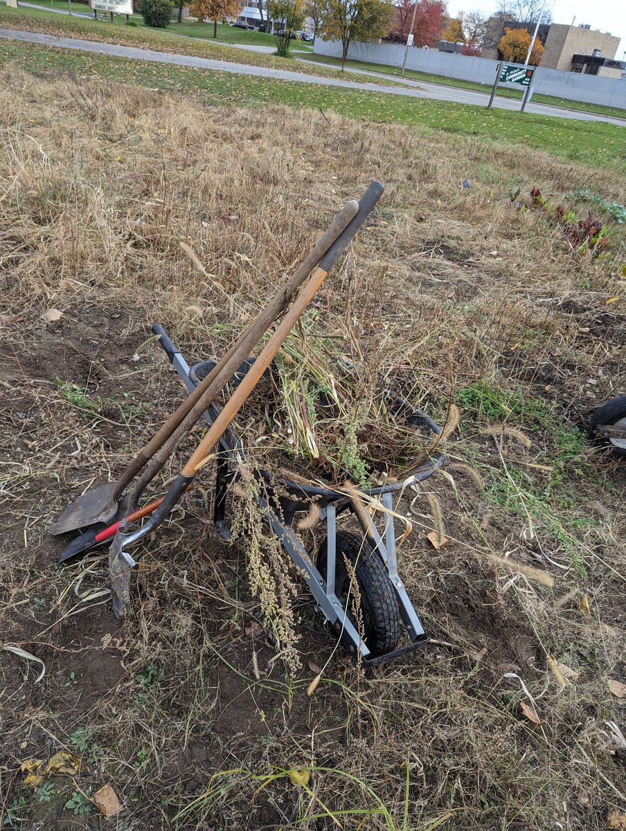 lansingcommonfc's tweet image. Hard at work this morning cleaning up @StMikesGarden with the @glfoodbank Garden Project! Thanks to everyone who joined us!