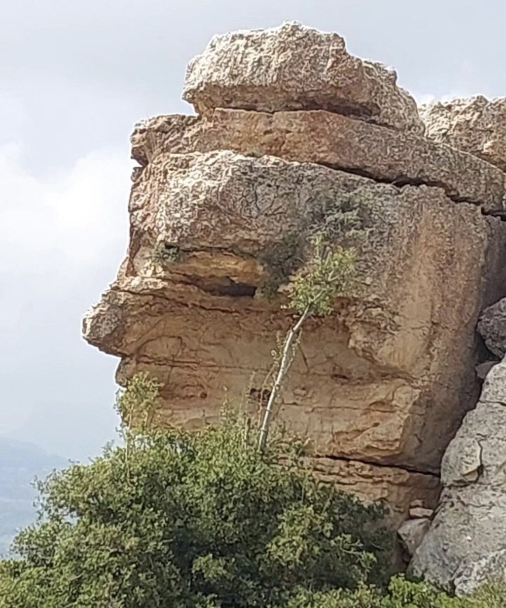 When Nature Speaks ! 
#LiveLoveLebanon ♥️