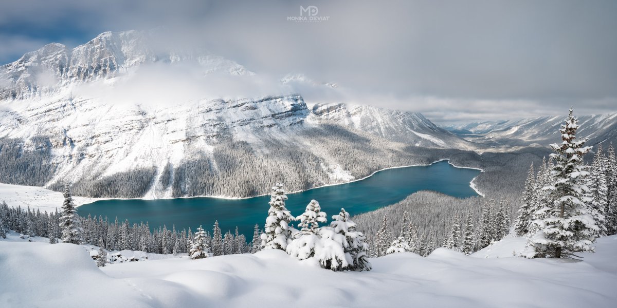 MonikaDeviat's tweet photo. Stunning conditions at Peyto Lake recently!

#banff https://t.co/gvEmx1gcUN