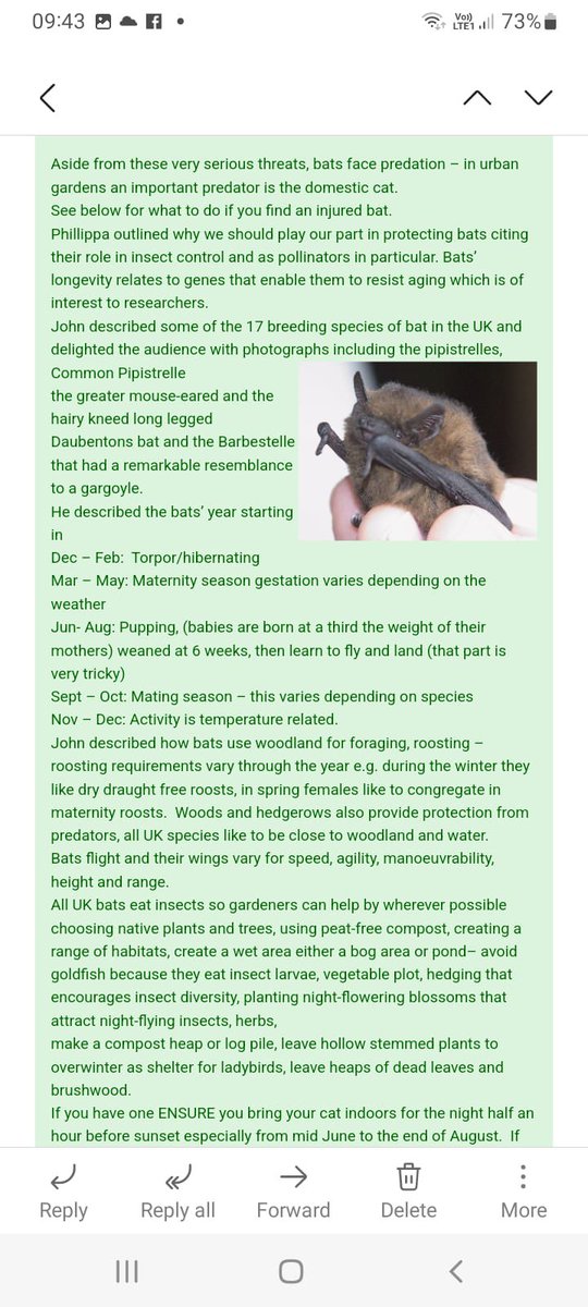 Notts Bat Group tweet media