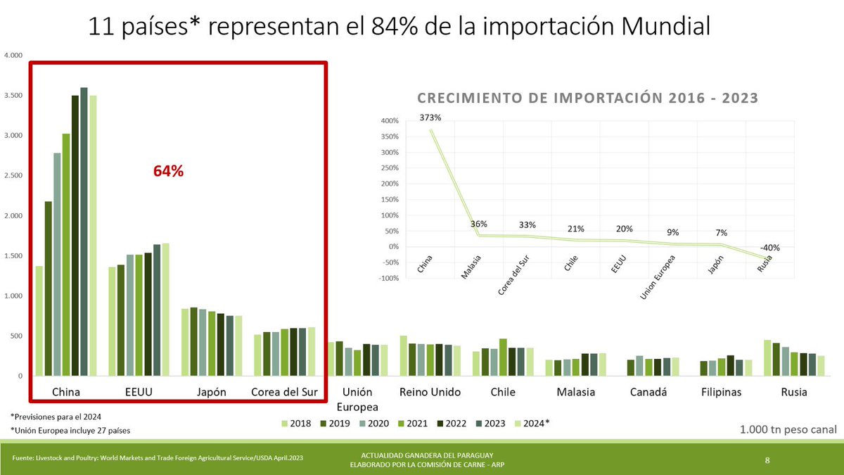 Paraguay es el décimo exportador de carne bovina del mundo pero está ausente en los 4 mercados más importantes.