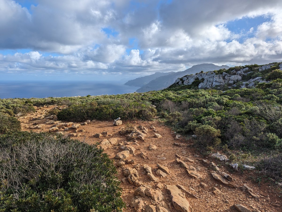 ZinvolReizen's tweet photo. Dat je de berg overgaat en dit je uitzicht is 😍
#Mallorca #GR221 #Wandelen https://t.co/mKR9Qifjv6