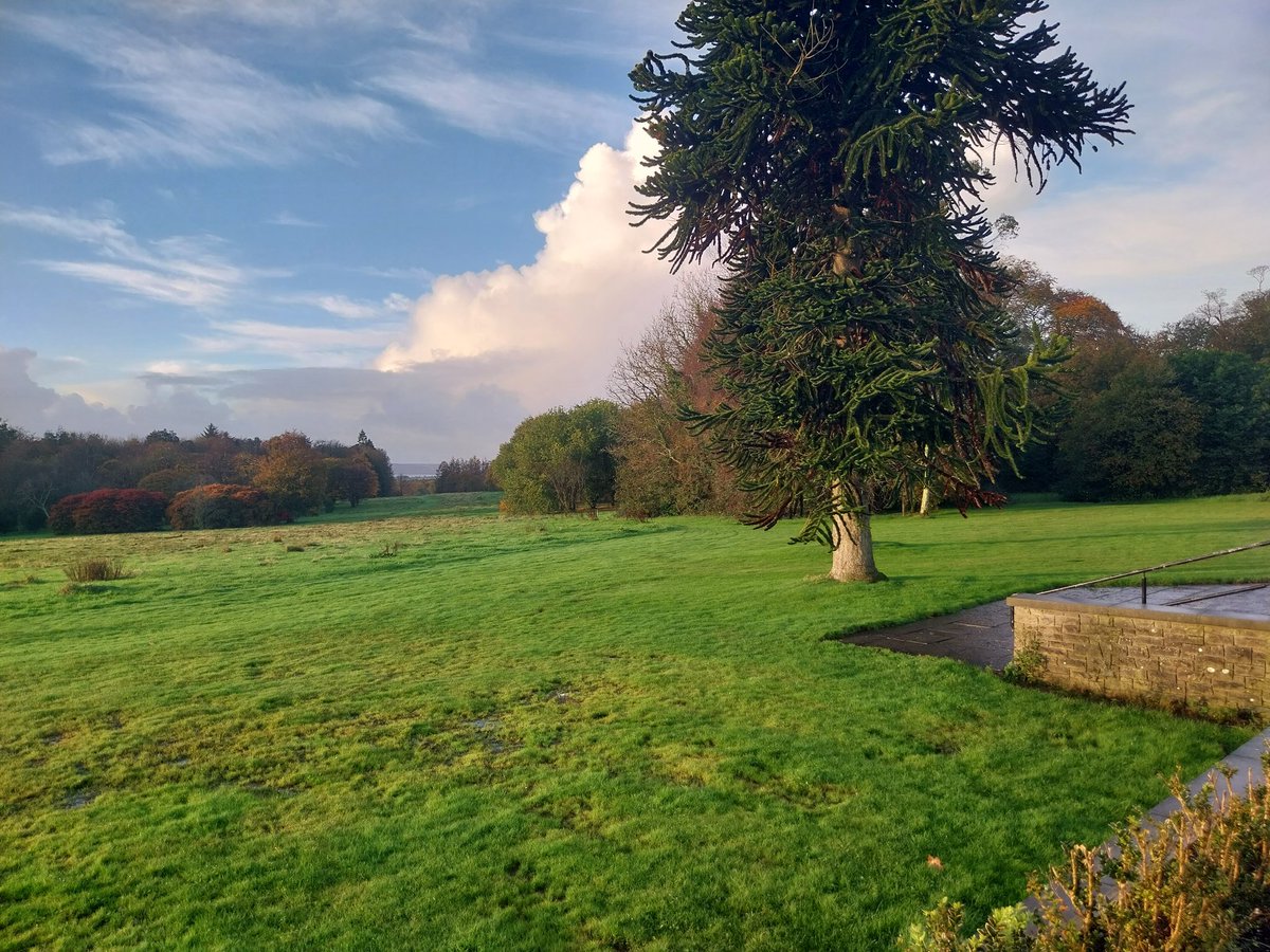 Tommy owens tweet media