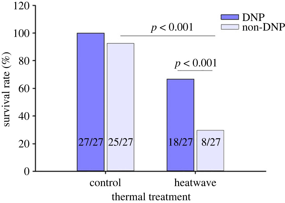 Pablo Burraco tweet media