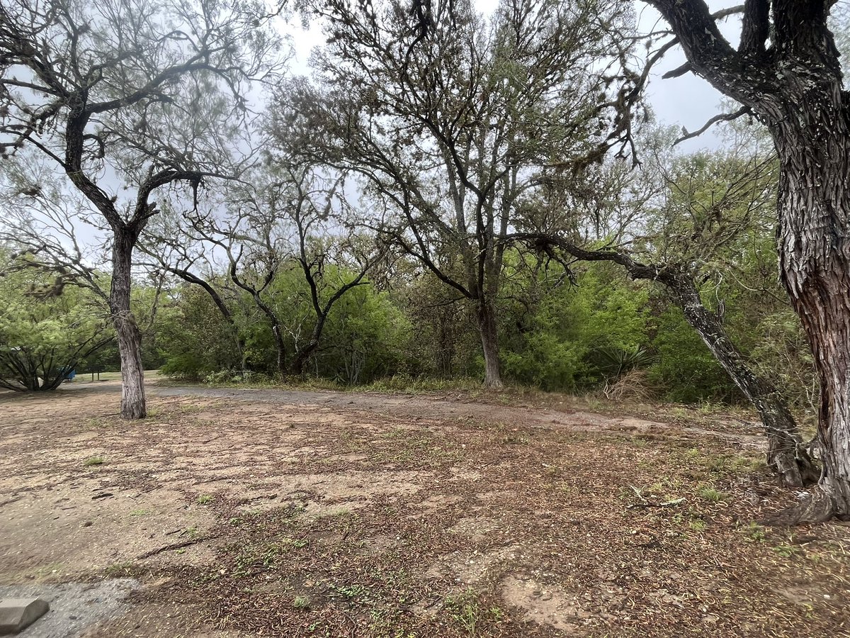 RubideHoyos1's tweet image. It’s a beautiful rainy day at #SouthsideLionsPark but because the ground is slippery, we are having to cancel our #FallSweep event. We will reschedule soon. @KSABeautiful #BeautifyTX #CleanUp