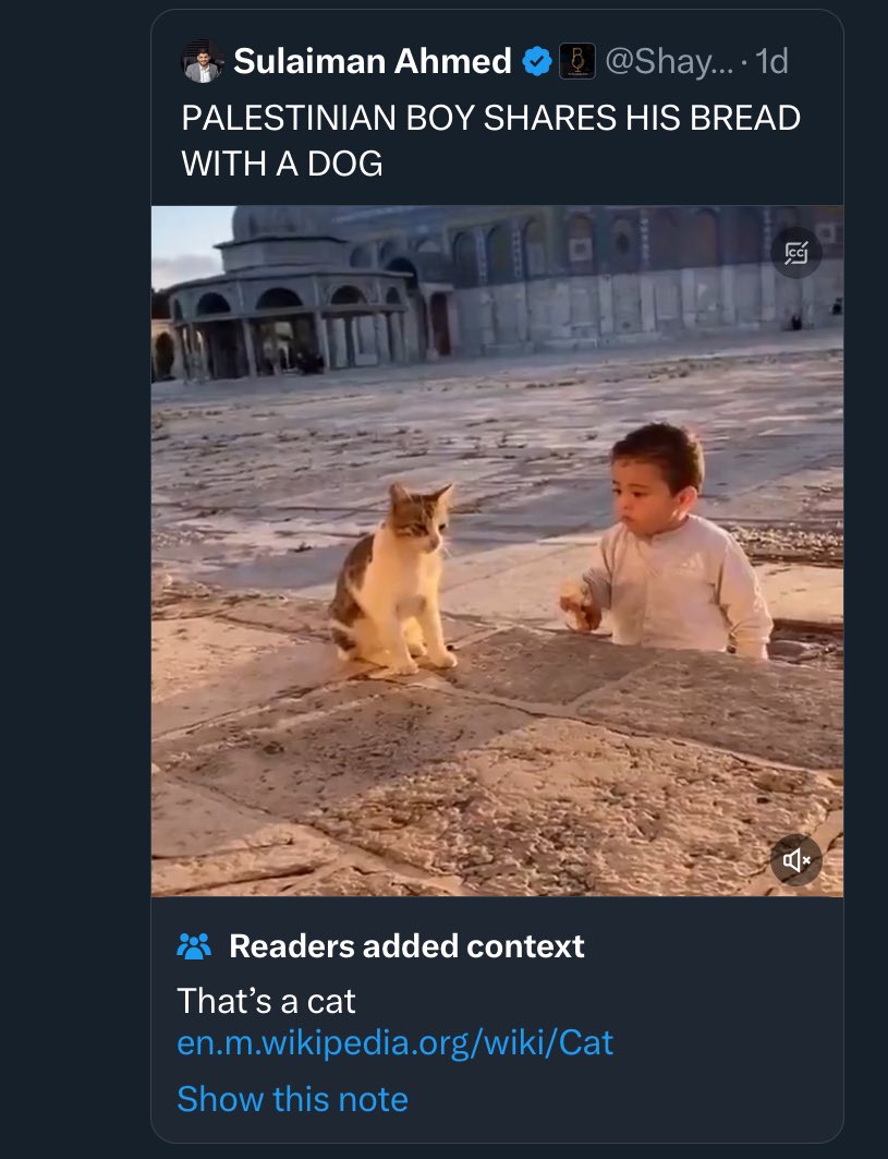 Nothing gets past Community Notes