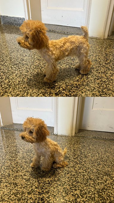 Y&rsquo;all like the haircut I gave my baby or naw? 😌🤣 https://t.co/KcXNm2zv68