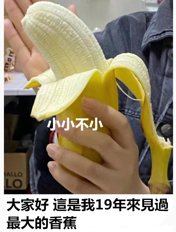 你們有見過這麼大的香蕉嗎 XD https://t.co/CeVnJMVRCV