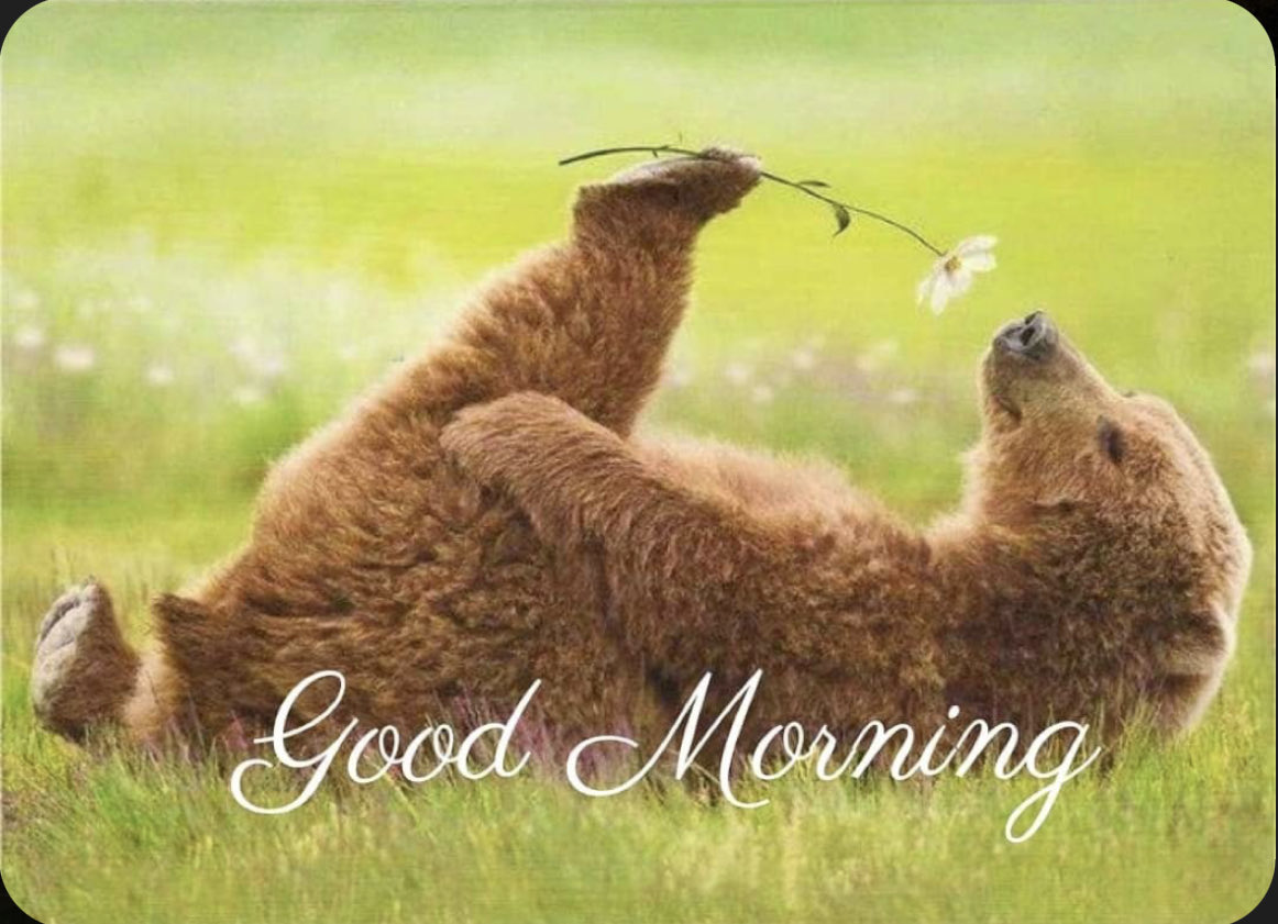 Good morning my Patriot friends, enjoy your wonderful weekend. 🙏❤️🇺🇸🤗☕️