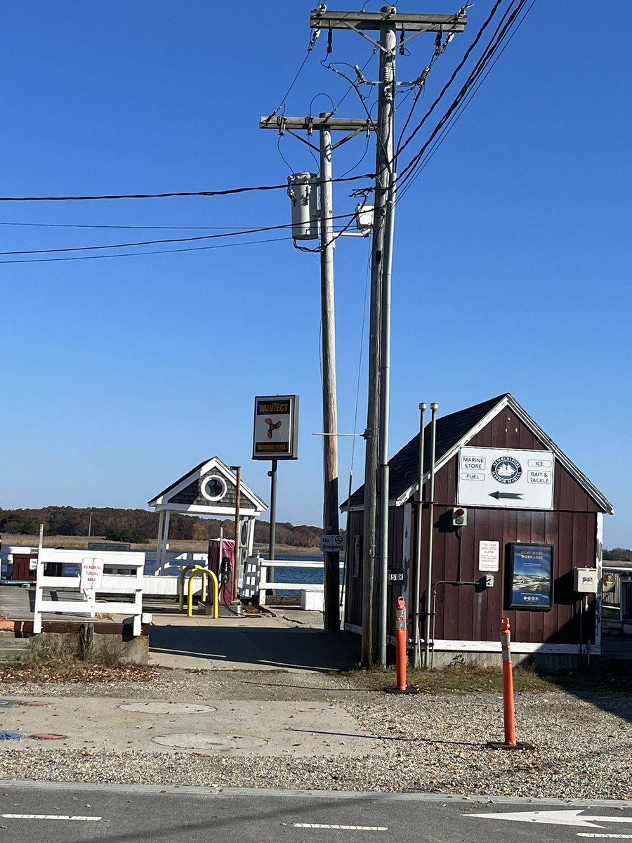 JuliaGlidden's tweet image. Hard to believe it’s October in New England #SecondSummer