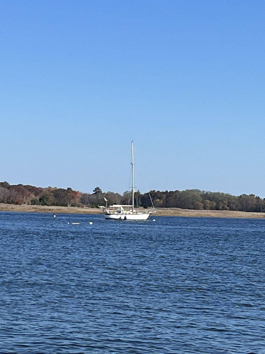 JuliaGlidden's tweet image. Hard to believe it’s October in New England #SecondSummer