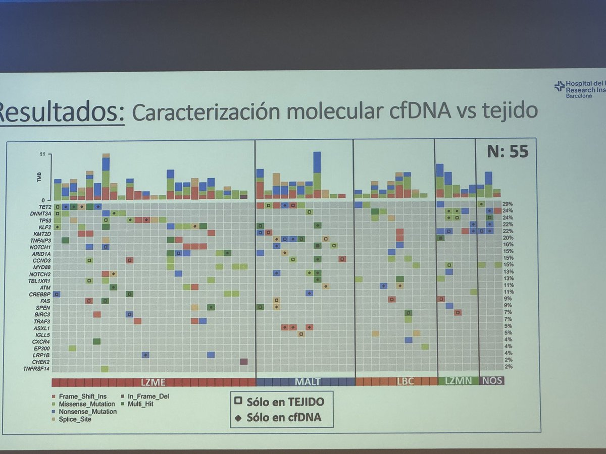 marta_msalido's tweet photo. 💡aplicación del estudio molecular del cfDNA en linfomas marginales. Presentado por Ramón Díez-Feijoo del Hospital del Mar #Hemato2023 https://t.co/jwO3Brg0fK
