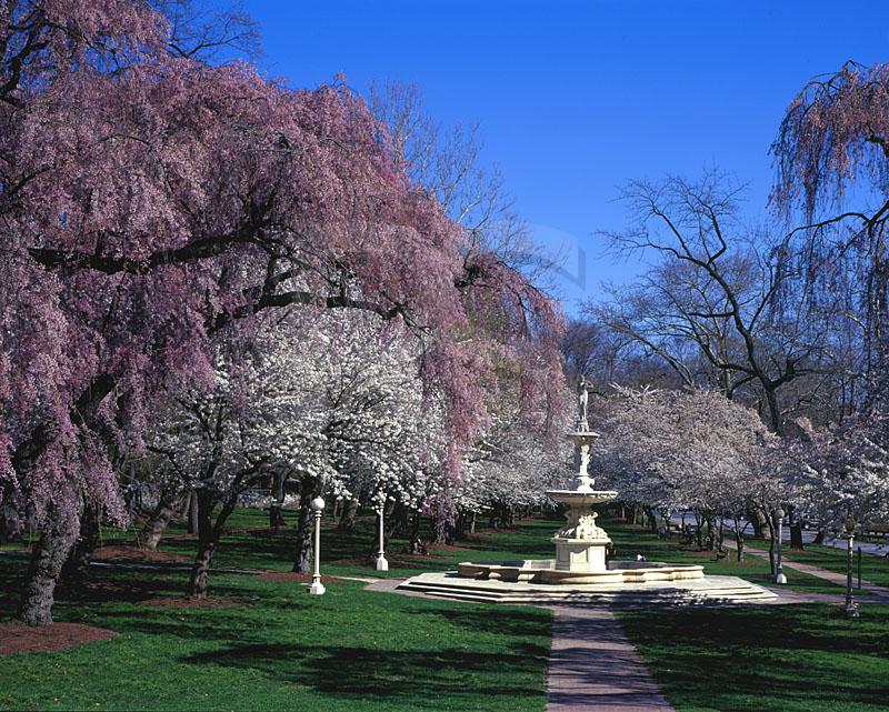 localBuddygo's tweet image. 🤣 "Delaware Delights" await in Wilmington! 🍀 Stroll through "Brandywine Park" 🌳🌷 and let Local Buddy guide you to this serene green escape! 🗺️ #ParkPerfection #WilmingtonWonders #LocalBuddyApp 🚶‍♂️🍃😄